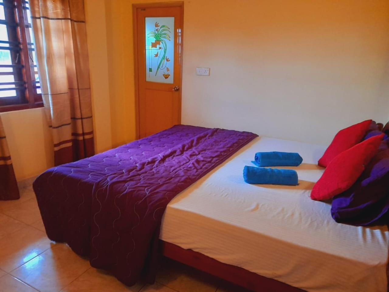 New Sea Lion Guest House Hikkaduwa Εξωτερικό φωτογραφία