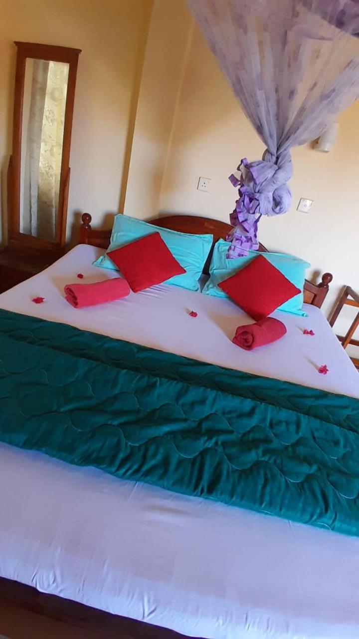 New Sea Lion Guest House Hikkaduwa Εξωτερικό φωτογραφία
