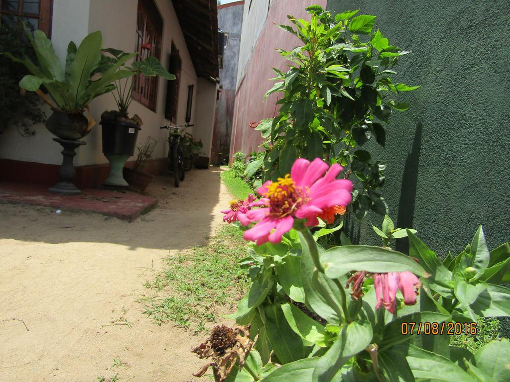 New Sea Lion Guest House Hikkaduwa Εξωτερικό φωτογραφία