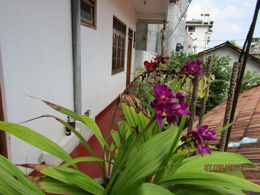 New Sea Lion Guest House Hikkaduwa Εξωτερικό φωτογραφία