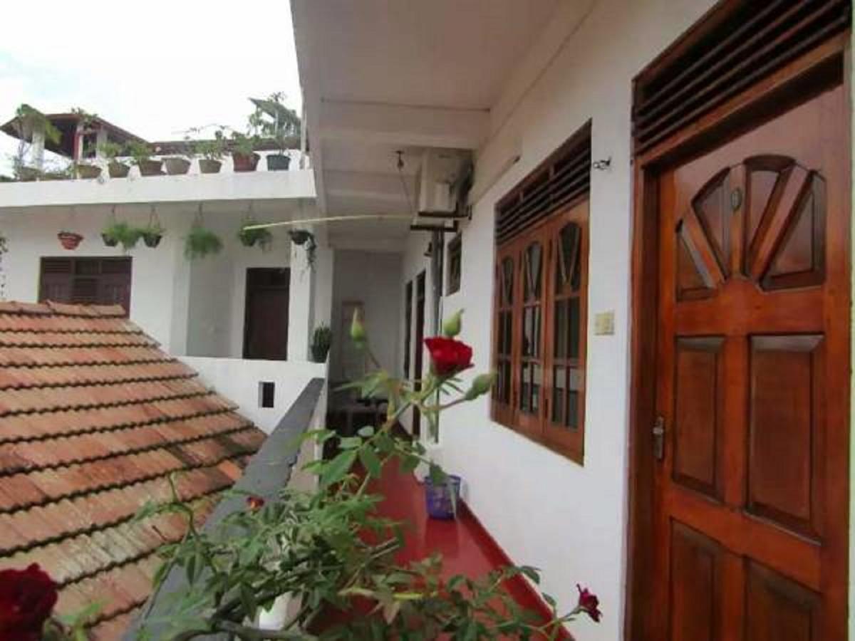 New Sea Lion Guest House Hikkaduwa Εξωτερικό φωτογραφία