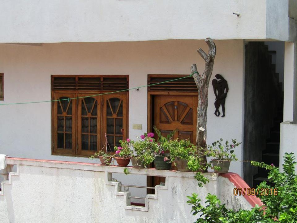 New Sea Lion Guest House Hikkaduwa Εξωτερικό φωτογραφία
